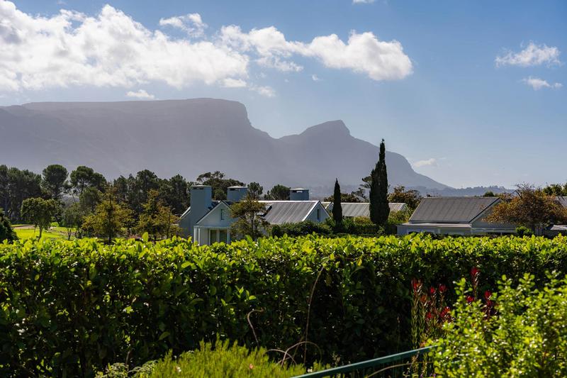 To Let 3 Bedroom Property for Rent in Steenberg Estate Western Cape